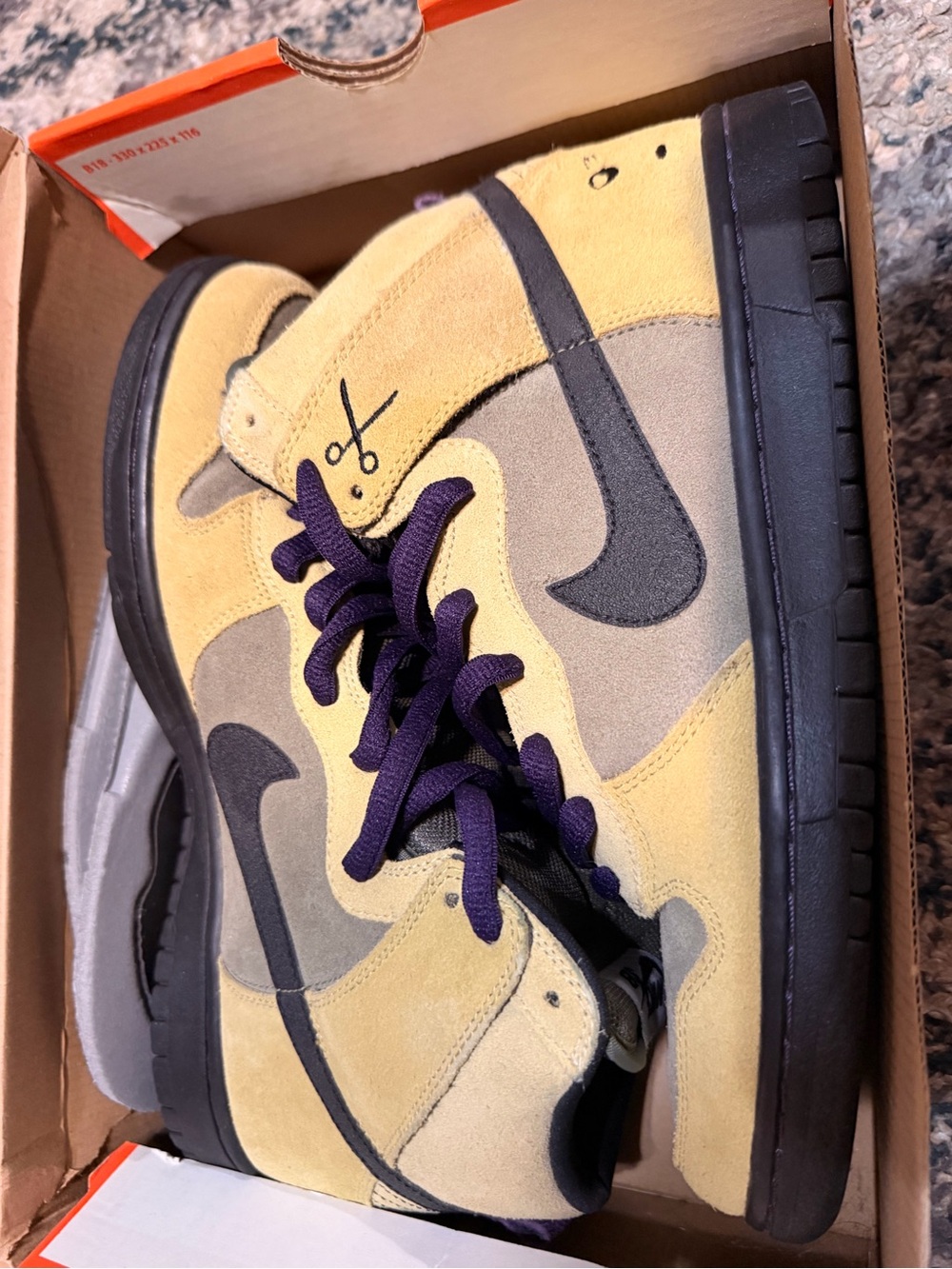 Nike dunk sb “Chromeball” size 10